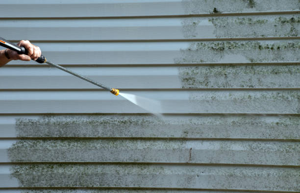 Best Roof Power Washing Services  in Springfield, IL