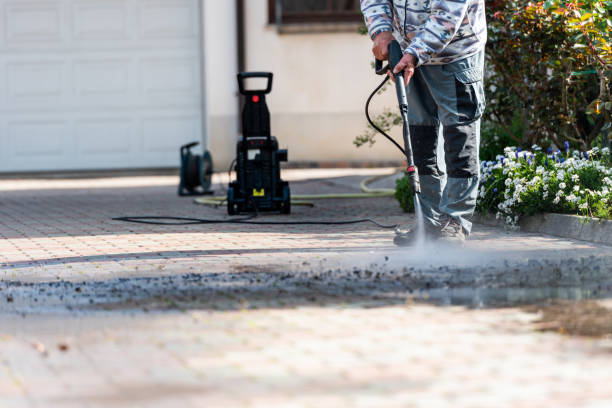 Best Exterior Home Cleaning  in Springfield, IL