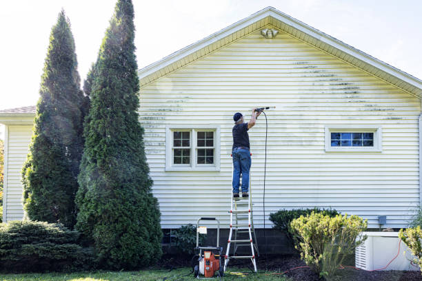 Best Sidewalk Pressure Washing  in Springfield, IL